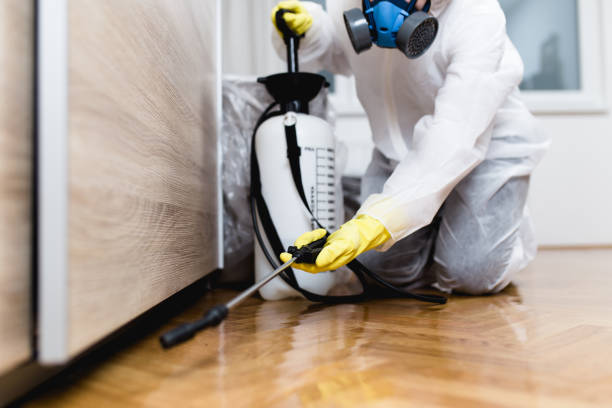 Best Affordable Pest Control Services  in Wickliffe, OH