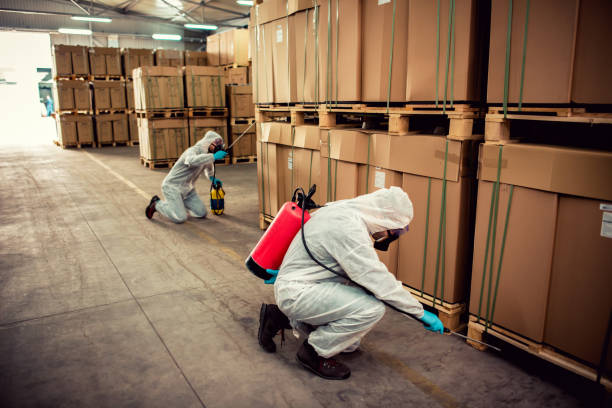 Best Pest Removal Services  in Wickliffe, OH