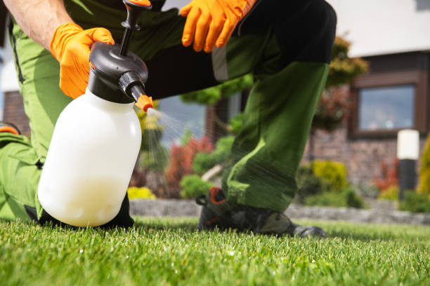 Best Pest Inspection Near Me  in Wickliffe, OH