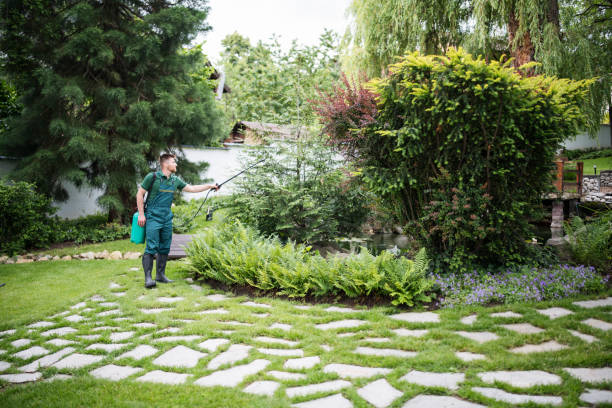 Best Mosquito Control Services  in Wickliffe, OH