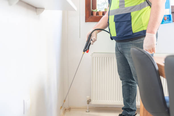 Best Local Pest Control Services  in Wickliffe, OH