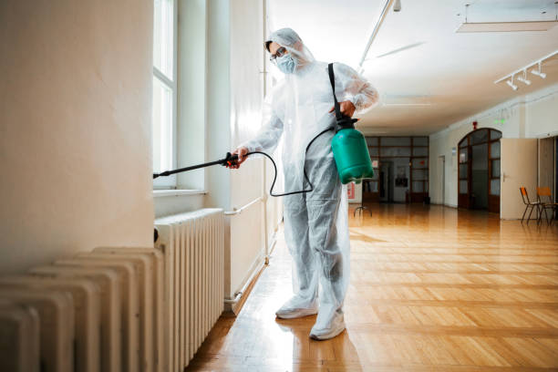 Best Affordable Pest Control Services  in Wickliffe, OH