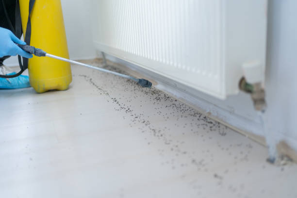 Best Wildlife Control Services  in Wickliffe, OH